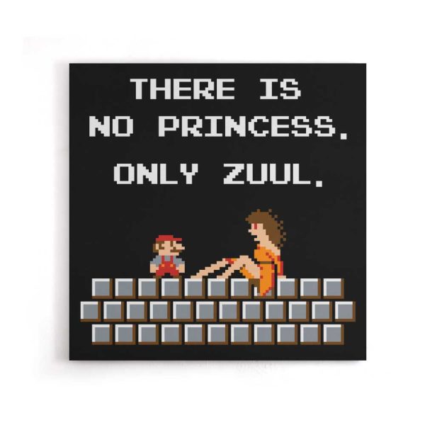 There is No Princess - Canvas Print For Cheap - Image 5